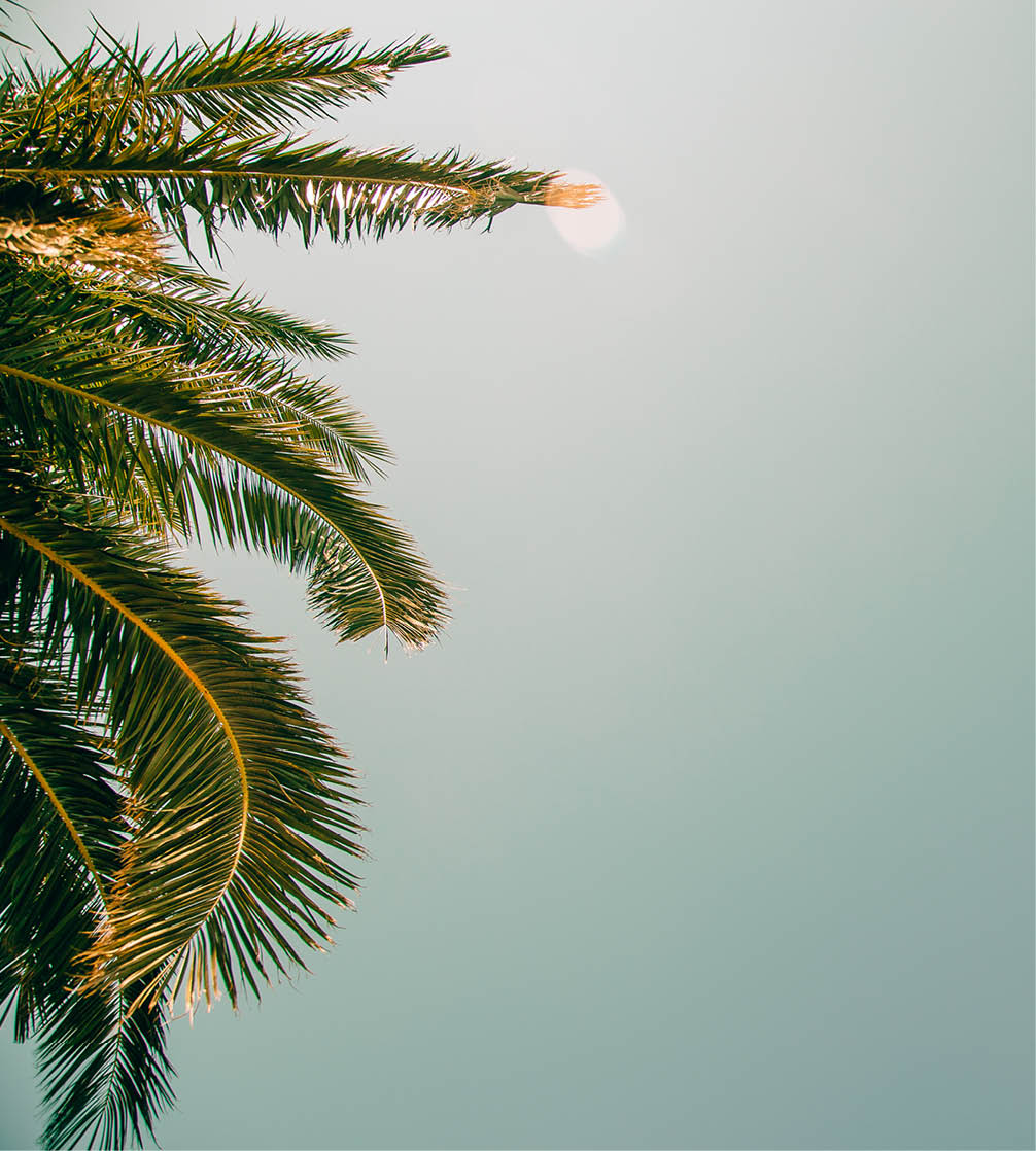 Entrance to the beautiful small garden