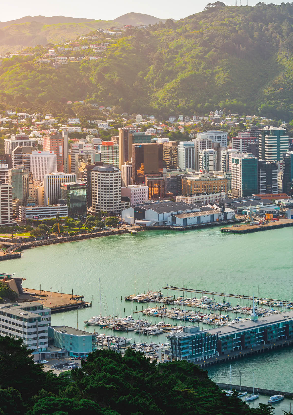 Wellington, New Zealand - November 20, 2019: a panoramic view of Wellington from the top of Mount Victoria.